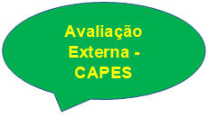 Avaliação Externa - CAPES